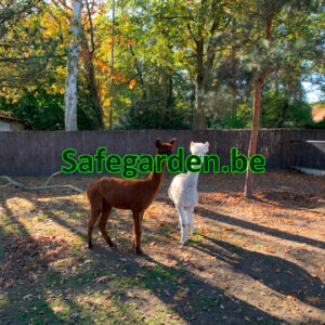 Dikke Spaanse Heidematten - Ericamatten 4cm dik - 3m breed, h 150cm, 180cm, 200cm, Safegarden