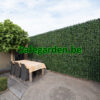 kunstklimop haag hedera , kunsthaag klimop, kunsthaag hedera, Safegarden