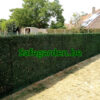 kunsthaag buxus, kunstbuxus haag