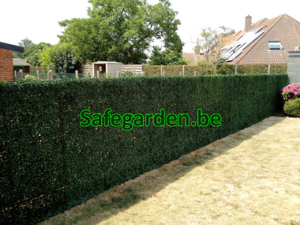 kunsthaag buxus, kunstbuxus haag