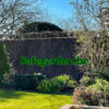 Dikke Spaanse Heidematten - Ericamatten 4cm dik - 3m breed, h 150cm, 180cm, 200cm, Safegarden