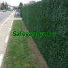 kunsthaag op rol Canada Super, h100 cm,120cm,150cm,180cm,200cm, korting twv 21%btw