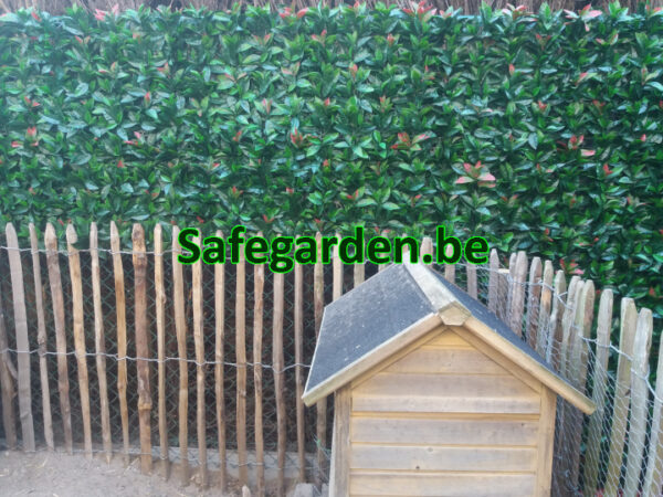 kunstlaurier, kunsthaag laurier op paneel 50x50cm, Safegarden