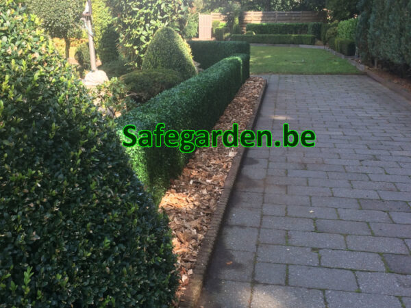 kunsthaag buxus, kunstbuxus haag