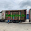 Dikke Spaanse Heidematten - Ericamatten 4cm dik - 3m breed, h 150cm, 180cm, 200cm, Safegarden