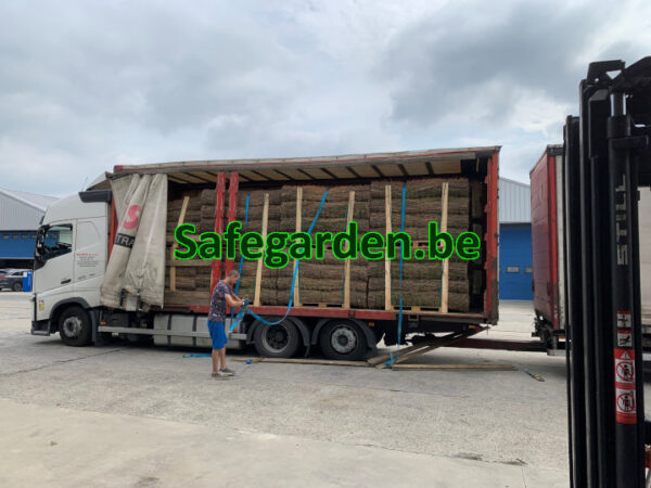 Dikke Spaanse Heidematten - Ericamatten 4cm dik - 3m breed, h 150cm, 180cm, 200cm, Safegarden