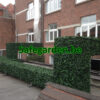 kunstklimop haag hedera , kunsthaag klimop, kunsthaag hedera, Safegarden