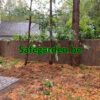 Dikke Spaanse Heidematten - Ericamatten 4cm dik - 3m breed, h 150cm, 180cm, 200cm, Safegarden