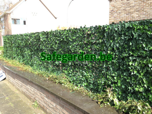 kunstklimop haag hedera , kunsthaag klimop, kunsthaag hedera, Safegarden