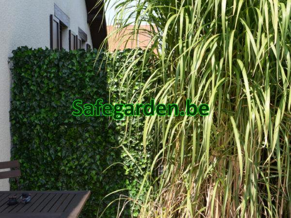 kunstklimop haag hedera , kunsthaag klimop, kunsthaag hedera, Safegarden
