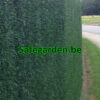 kunsthaag op rol Canada Super, h100 cm,120cm,150cm,180cm,200cm, korting twv 21%btw