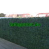 kunsthaag buxus, kunstbuxus haag