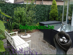 kunstklimop haag hedera , kunsthaag klimop, kunsthaag hedera, Safegarden