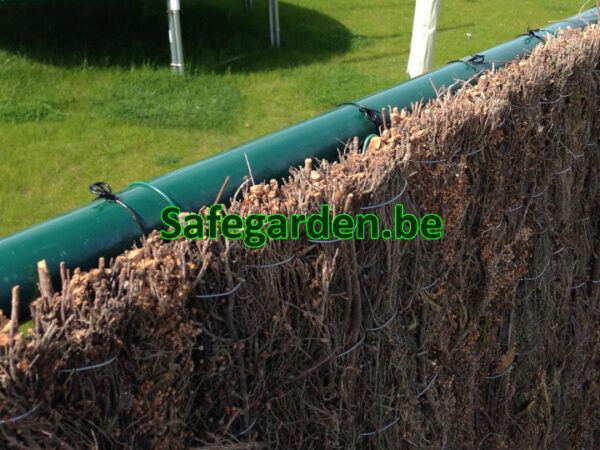 Dikke Spaanse Heidematten - Ericamatten 4cm dik - 3m breed, h 150cm, 180cm, 200cm, Safegarden