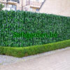 kunstklimop haag hedera , kunsthaag klimop, kunsthaag hedera, Safegarden