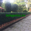 kunsthaag buxus, kunstbuxus haag