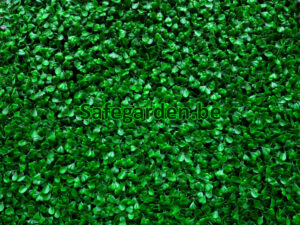 kunstbuxus , kunsthaag buxus, buxus paneeltjes