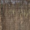 Heidematten 2cm - heidemat forte 2,5kg/m2 - Safegarden