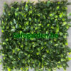 Kunsthaag Ficus ligustrum, Ligustrum kunsthaag Safegarden , paneel 50x50 cm