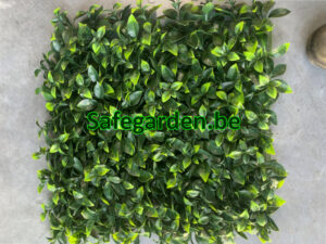 Kunsthaag Ficus ligustrum, Ligustrum kunsthaag Safegarden , paneel 50x50 cm