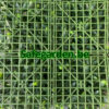 Kunsthaag Ficus ligustrum, Ligustrum kunsthaag Safegarden , paneel 50x50 cm
