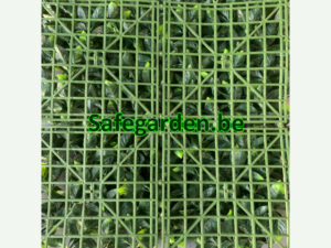Kunsthaag Ficus ligustrum, Ligustrum kunsthaag Safegarden , paneel 50x50 cm