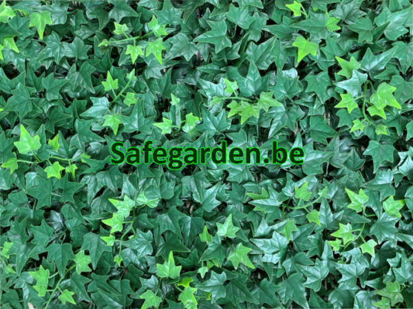 Kunstklimop Lux, Kunsthaag Klimop Lux, paneel 50x50cm, Safegarden
