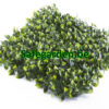 Kunsthaag Ficus ligustrum, Ligustrum kunsthaag Safegarden , paneel 50x50 cm
