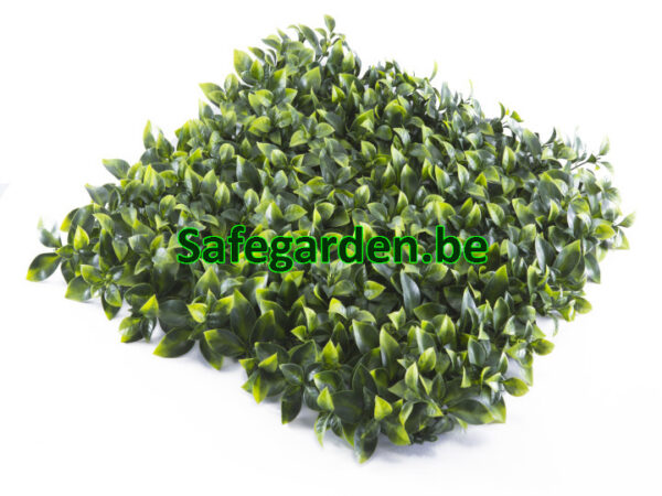 Kunsthaag Ficus ligustrum, Ligustrum kunsthaag Safegarden , paneel 50x50 cm