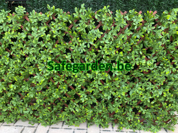Vouwhaag Kunsthaag Schefflera, Vouwhaag 200cm x 1200cm hoog,