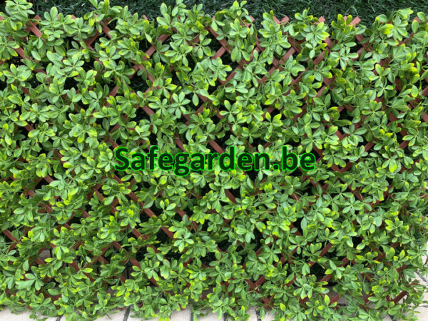 Vouwhaag Kunsthaag Schefflera, Vouwhaag 200cm x 1200cm hoog, Safegarden